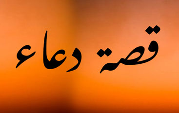 القط العراف