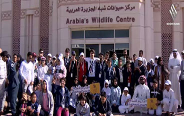 القط العراف