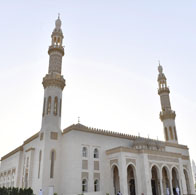 القط العراف