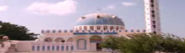 القط العراف